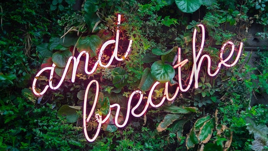 Mindfulness 101 - 3 Easy Ways to Become More Mindful