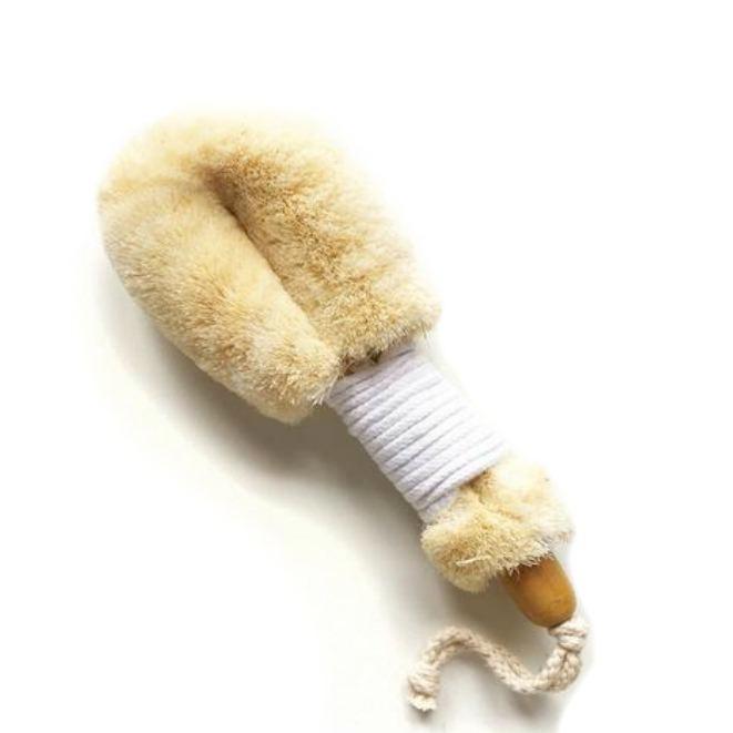 GingerChi Meridian Dry Brush for Body